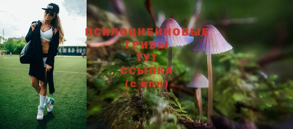дживик Балахна