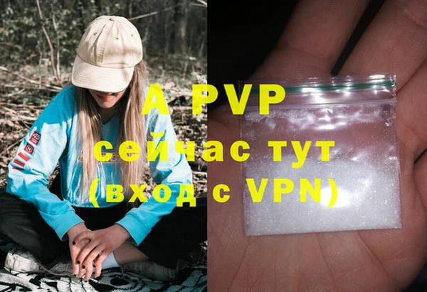 дживик Балахна