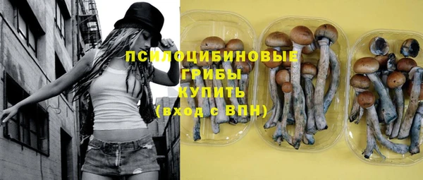 дживик Балахна