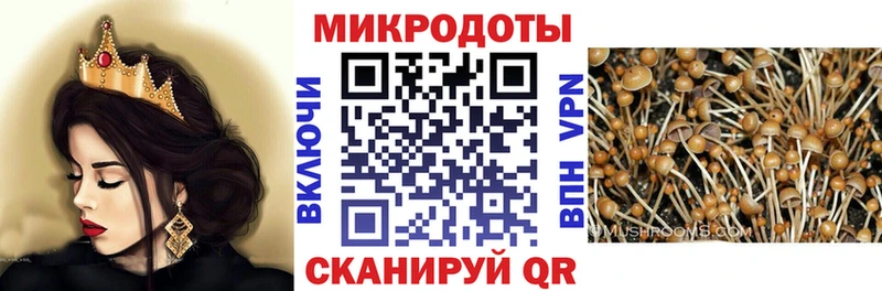 Псилоцибиновые грибы Psilocybine cubensis  Борзя 