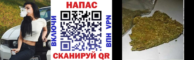 Бошки Шишки семена Борзя